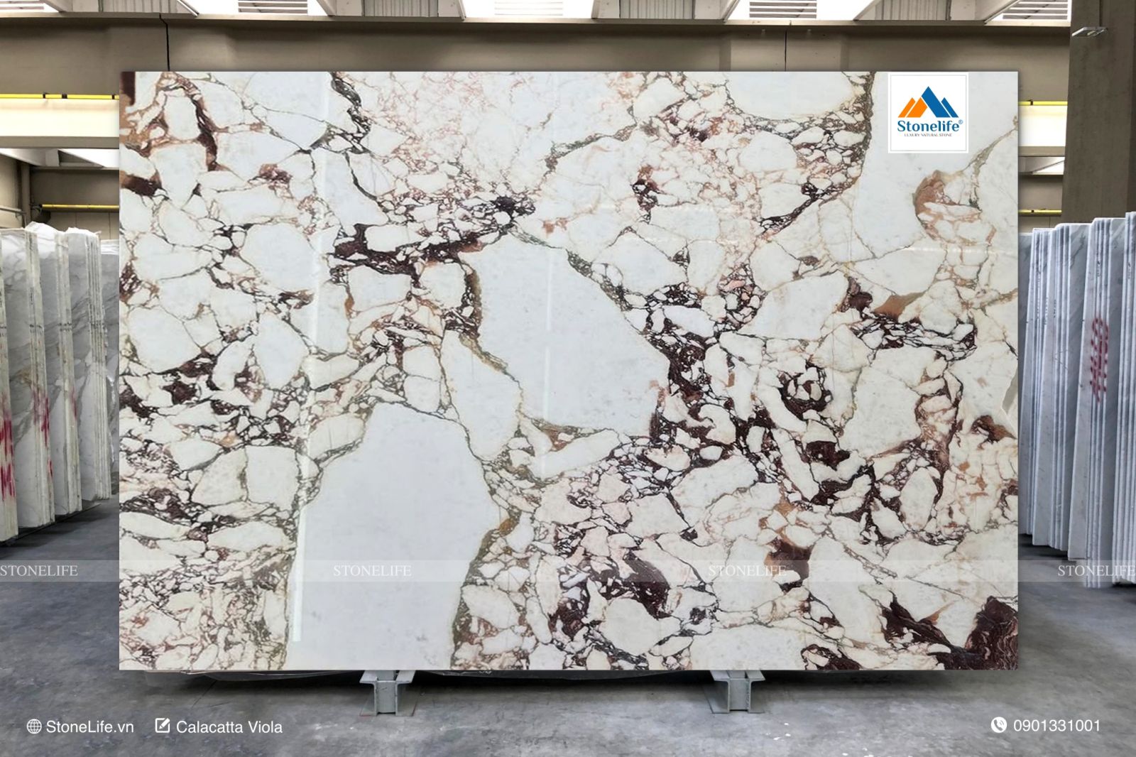M113 - Calacatta Viola